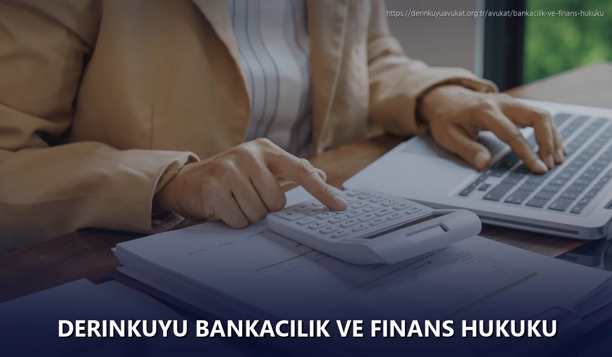 Derinkuyu Bankacılık ve Finans Hukuku